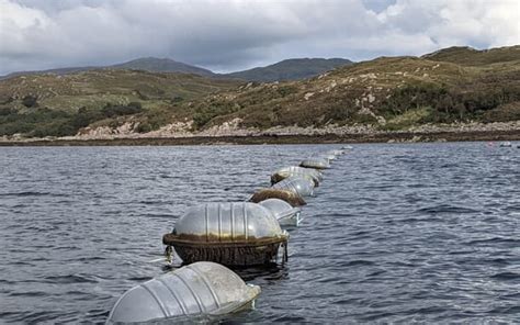 Mussel farming: a source of sustainable protein that .